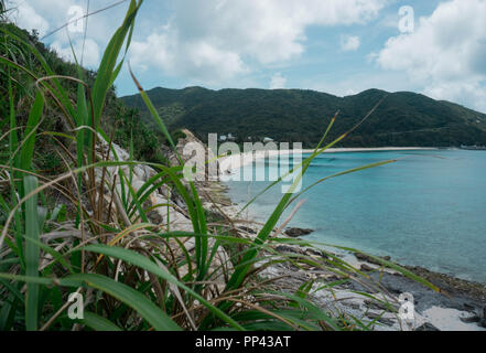 Tagesauflug auf die wunderschöne Insel Tokashiki in Okinawa. Foto Stock