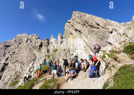 Lechtaler Alpen, Lechtal Alpi: escursionista a col Seescharte, Regione TirolWest, Tirolo Tirolo, Austria Foto Stock