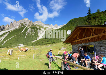 Lechtaler Alpen, Lechtal Alpi: escursionista a alp Oberlochalpe, stazione di snack, mucca, Regione TirolWest, Tirolo Tirolo, Austria Foto Stock