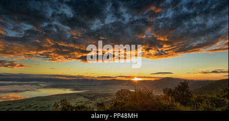 Tramonto al cratere Ngorogoro vicino a Parco Nazionale del Serengeti, Tanzania Africa Foto Stock