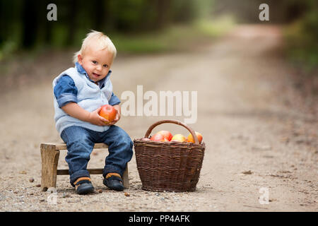 Adorable baby boy con cesto pieno di mele in una foresta, sorridente felicemente Foto Stock