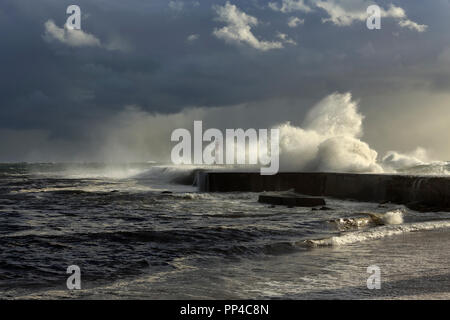 Ave foce, a nord del Portogallo, con luce drammatica appena prima del tramonto e pioggia durante una tempesta di mare Foto Stock