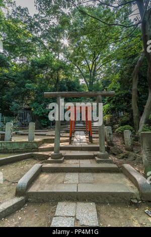 Tokyo, Bunkyo Ward - Agosto 6, 2018 : Pietra myojin Torii gate e red torii gates all ingresso di Nezu-jinja sacrario scintoista. designata come importante Cu Foto Stock