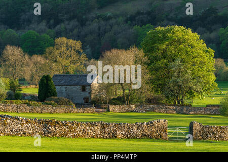 Piccola pietra solitario cottage & pascolo, impostare nella splendida e soleggiata campagna immerso sotto la ripida collina - Buckden, Yorkshire Dales, Inghilterra, Regno Unito. Foto Stock