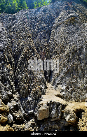 La Montagna di sale a Sovata Foto Stock