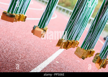 Karlsruhe, Germania. 23 Sep, 2018. Caratteristica: medaglie. GES/Atletica/Baden-Marathon, 23.09.2018 | Utilizzo di credito in tutto il mondo: dpa/Alamy Live News Foto Stock