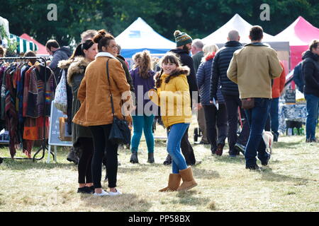 Kirkleatham, REGNO UNITO, 23 settembre, 2018. Una giornata di divertimento per tutta la famiglia presso il famoso Festival di parsimonia, UK. Credito: Tracy Hyman Alamy/Live News. Foto Stock