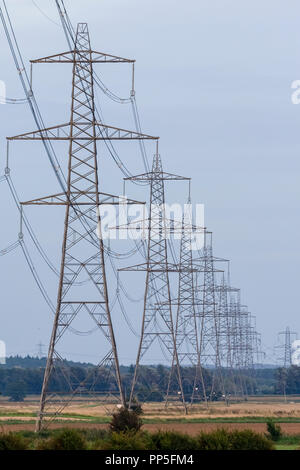 Elettricità piloni o torri di trasmissione che porta di linee elettriche ad alta tensione e a cavi sospesi al di sopra di terra come parte della rete nazionale di distribuzione alimentazione di rete Foto Stock