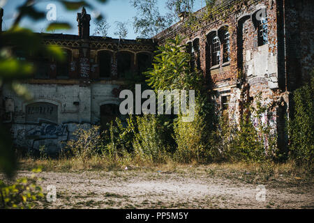Fabbrica abbandonata edificio recuperato dalla natura Foto Stock