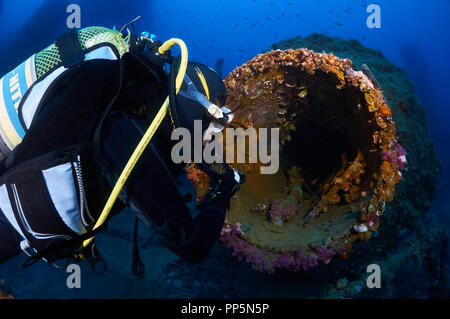 Femmina subacqueo con torcia ad esplorare l'interno di un grosso tubo con incrostati di vita marina a La Plataforma relitto (Formentera,Isole Baleari, Spagna) Foto Stock