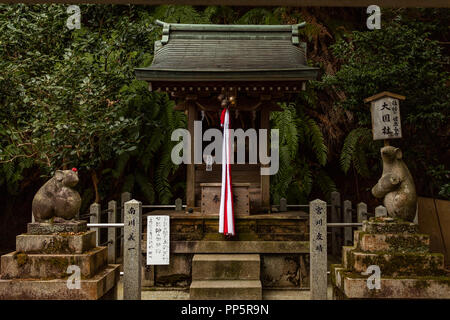 KYOTO, Giappone - 08 FEB 2018: due topi statue e santuario su Otoyo jinja sacrario di Kyoto Foto Stock