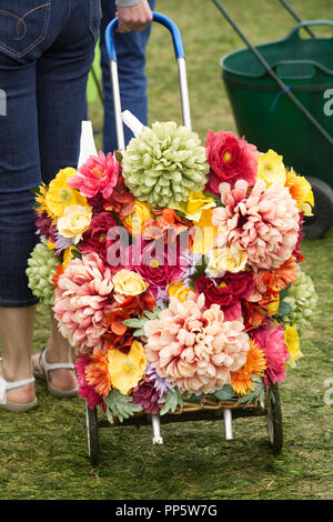 Motivi floreali colorati carrello della spesa ad RHS molla Malvern flower show. Foto Stock