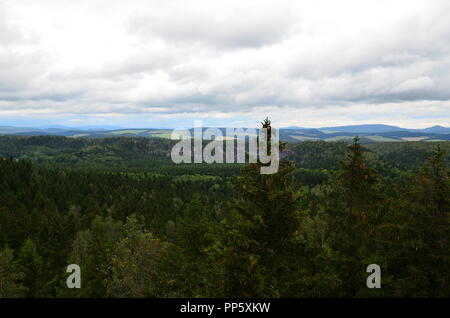 Vista su una parete di roccia nel mezzo della foresta e un albero con coni pendenti. Croplands in background. Foto Stock