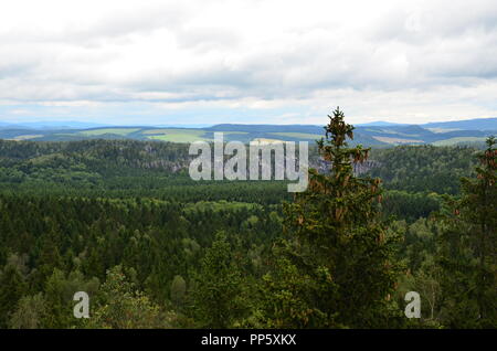 Vista su una parete di roccia nel mezzo della foresta e un albero con coni pendenti. Croplands in background. Foto Stock