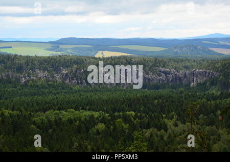 Vista su una parete di roccia nel mezzo della foresta e un albero con coni pendenti. Croplands in background. Foto Stock