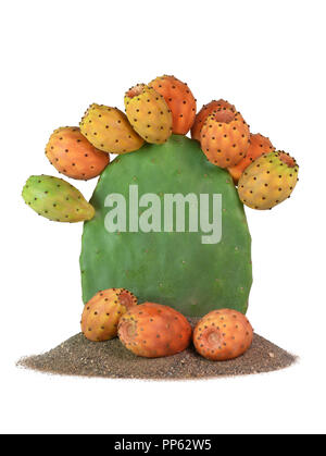 Isolato di fico d'india cactus pieno di piante di frutta sulla sabbia con figure sulla base verticale con copia spazio sul soggetto. Foto Stock