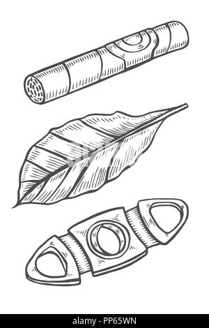 Sigari e ghigliottina, lasciare di tabacco. Set di fumare. Schizzo stile di incisione. Isolato su bianco Illustrazione Vettoriale