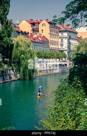 Paddle surf in un fiume in una città. Foto Stock