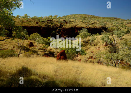 Red termite mound, golden erba secca, Karijini National Park, Australia occidentale Foto Stock