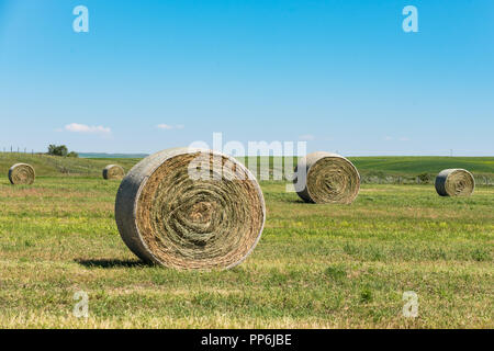 Haybales e terreni agricoli rurali nelle praterie di Southern Alberta Canada Foto Stock