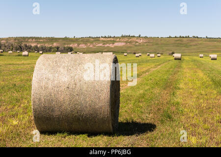 Haybales e terreni agricoli rurali nelle praterie di Southern Alberta Canada Foto Stock