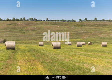 Haybales e terreni agricoli rurali nelle praterie di Southern Alberta Canada Foto Stock