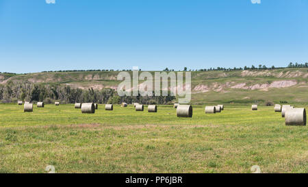 Haybales e terreni agricoli rurali nelle praterie di Southern Alberta Canada Foto Stock