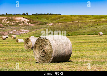 Haybales e terreni agricoli rurali nelle praterie di Southern Alberta Canada Foto Stock