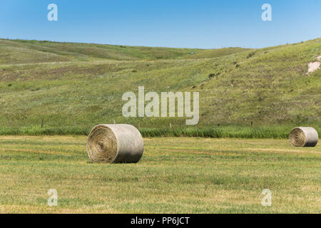 Haybales e terreni agricoli rurali nelle praterie di Southern Alberta Canada Foto Stock