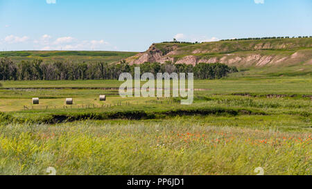 Haybales e terreni agricoli rurali nelle praterie di Southern Alberta Canada Foto Stock