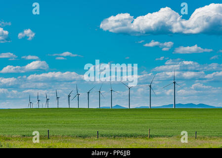 Generazione di potenza per centrali eoliche nelle praterie di Southern Alberta Canada Foto Stock