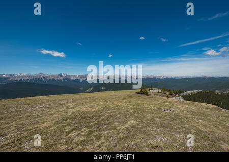 Sentieri suggestivi panorami dalla cima della montagna della prateria a Kananaskis Country Alberta Canada su una calda giornata di sole a inizio estate Foto Stock