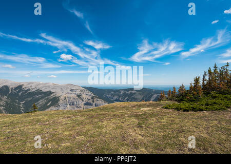 Sentieri suggestivi panorami dalla cima della montagna della prateria a Kananaskis Country Alberta Canada su una calda giornata di sole a inizio estate Foto Stock