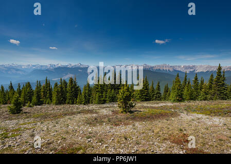 Sentieri suggestivi panorami dalla cima della montagna della prateria a Kananaskis Country Alberta Canada su una calda giornata di sole a inizio estate Foto Stock