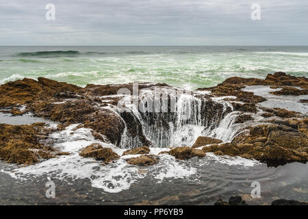 Il Thor è bene, Cape Perpetua Scenic Area, famoso monumento naturale della selvaggia costa dell'Oregon, Yachats, STATI UNITI D'AMERICA. Foto Stock