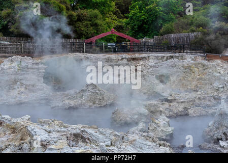 Hells Gate, Nuova Zelanda - 1 marzo 2018. Aleggia di vapore è salito dalle Piscine geotermali presso il Parco geotermico noto come Hell's Gate. Foto Stock