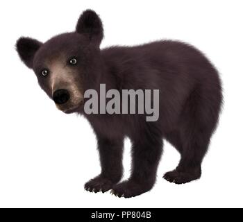 3D illustrazione Black Bear Cub isolati su sfondo bianco Foto Stock