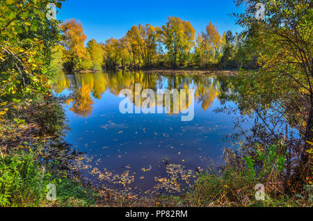 Golden fogliame di autunno alberi intorno al lago riflette in acqua blu - autunno pittoresco paesaggio a caldo e soleggiato settembre meteo con blu chiaro sk Foto Stock