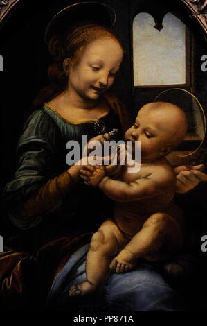 Leonardo da Vinci (1452-1519). Polymath italiano. Alto Rinascimento. Scuola fiorentina. La Madonna e il bambino (la Madonna Benois), 1478-1480. Olio su tela trasferito dal pannello. Lo stato Museo Hermitage. San Pietroburgo. La Russia. Foto Stock