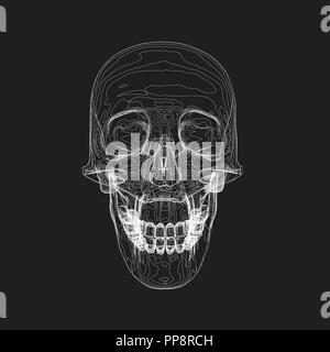 Forma cranica. Illustrazione vettoriale di un cranio costituito da linee bianche su sfondo nero. Illustrazione Vettoriale