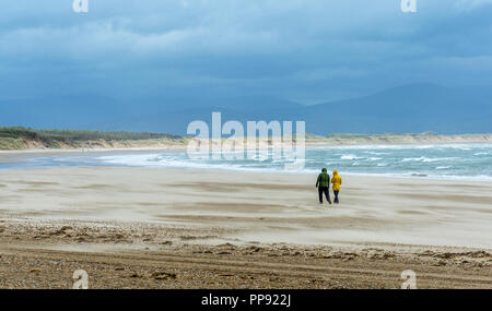 Giovane a camminare in una tempesta di sabbia in spiaggia Llanddwyn , Newborough, Isola di Anglesey, Galles del Nord, Regno Unito. Presa sul XXI Septembe 2018. Foto Stock