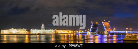 San Pietroburgo notte panorama dello skyline della città al Palace Ponte, San Pietroburgo, Russia Foto Stock