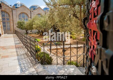 Gerusalemme, Israele. Settembre 15, 2017. Un ingresso del giardino del Getsemani a Gerusalemme dove l ultima cena di Cristo e i suoi discepoli ebbero luogo. Foto Stock