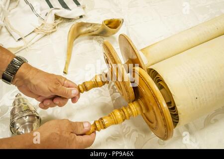 Le mani di un uomo caucasico tenendo le maniglie della Torah scrolls. Sefer Torah, megillah, Yom Kippur stock immagine. Rosh Hashanah Jewish nuovo anno la preghiera Foto Stock