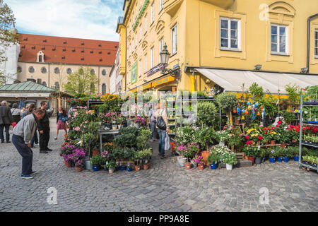 Monaco di Baviera, Germania - 13 Maggio 2017: Monaco di Baviera Germania, negozio di fiori a viveri (mercato Viktualienmarkt) Foto Stock