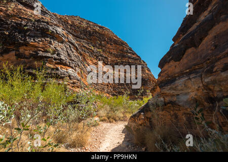 Di Purmululu, la catena dei Bungle Bungles, Est regione di Kimberley , Australia Occidentale Foto Stock