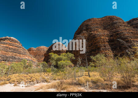 Di Purmululu, la catena dei Bungle Bungles, Est regione di Kimberley , Australia Occidentale Foto Stock