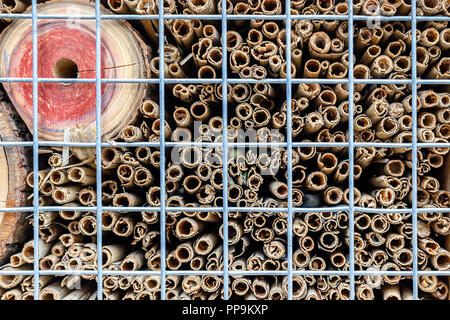 Close-up parte di craft hotel o casa per api selvatiche e altri insetti in materiali naturali con materiali ecologici. Riparo fatto di coni di legno e canne di bambù, fieno, paglia e la corteccia Foto Stock