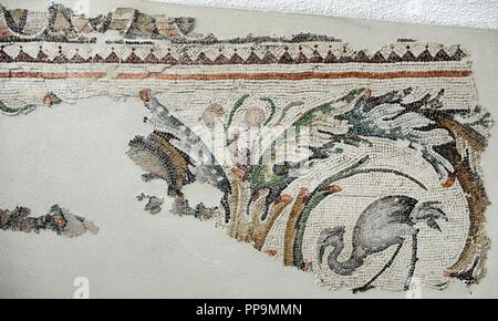Grande Palazzo Museo dei mosaici. 4a-6a secoli. Dettaglio di un mosaico. Istanbul. La Turchia. Foto Stock