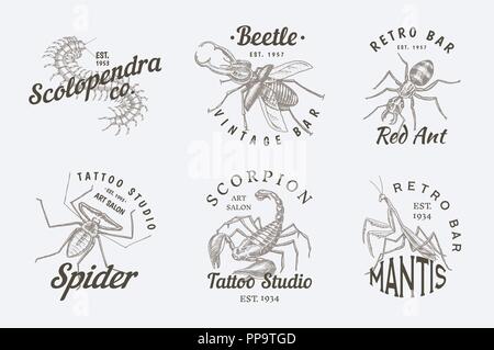 Set di insetti loghi. Vintage Animali Domestici etichette per bar o tattoo studio. Insetti coleotteri Scorpion Spider Ant Mantis Bee Scolopendra. emblemi distintivi, t-shirt tipografia. Incisi illustrazione vettoriale. Illustrazione Vettoriale